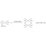Diagram - TMBZ Dihydrochloride - HRP Substrate (A57202) - Antibodies.com