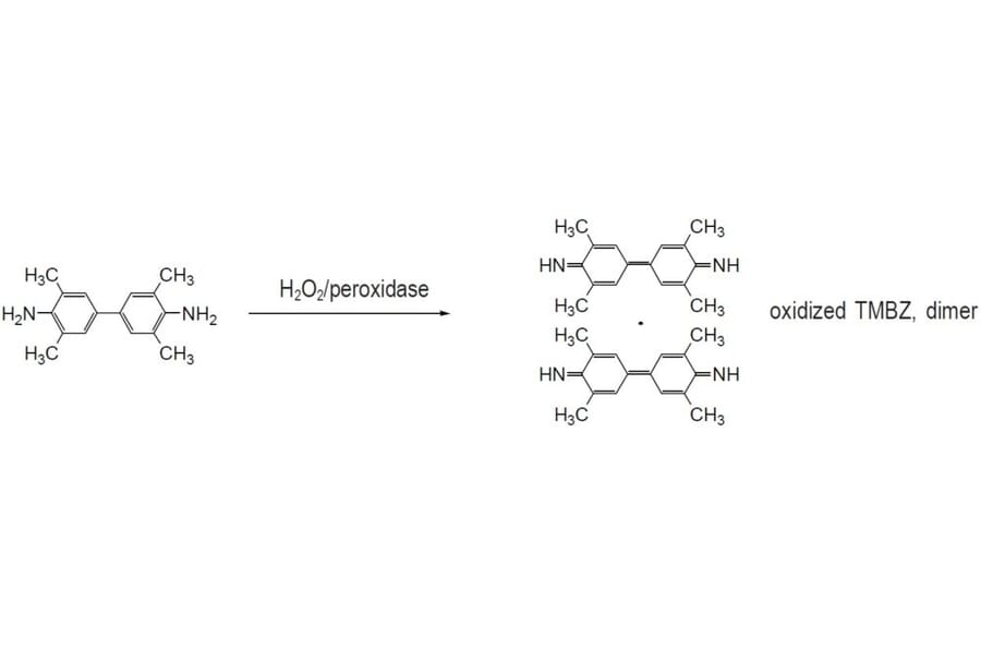Diagram - Tetramethylbenzidine (TMB) - HRP Substrate (A57206) - Antibodies.com