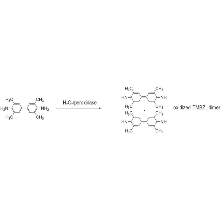 Diagram - Tetramethylbenzidine (TMB) - HRP Substrate (A57206) - Antibodies.com