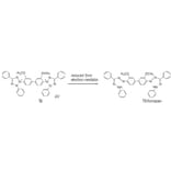 Diagram - Toluidine Blue O - Cationic Dye (A57208) - Antibodies.com