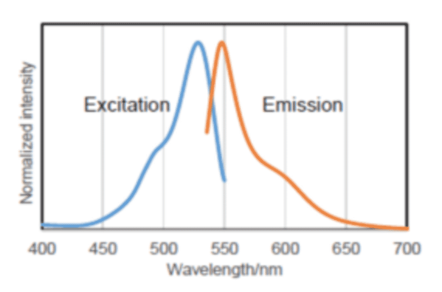Diagram - SPiDER-ßGal - Senescence Detection Probe (A57211) - Antibodies.com