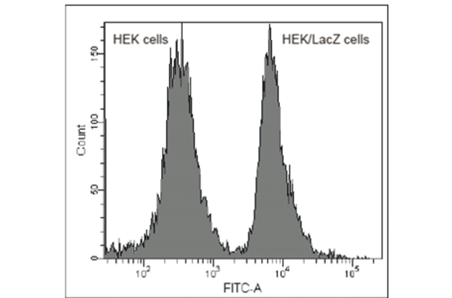 Flow Cytometry - SPiDER-ßGal - Senescence Detection Probe (A57211) - Antibodies.com