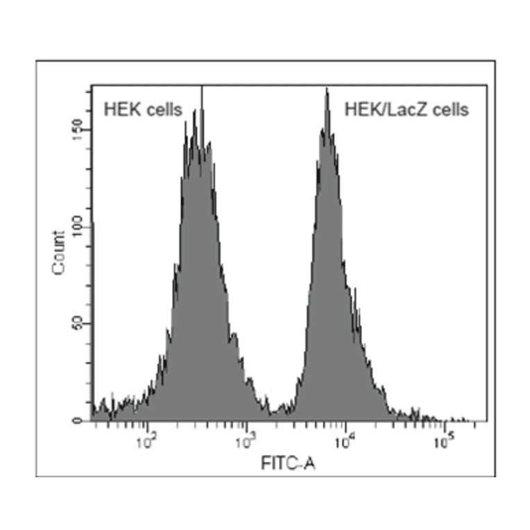 Flow Cytometry - SPiDER-ßGal - Senescence Detection Probe (A57211) - Antibodies.com