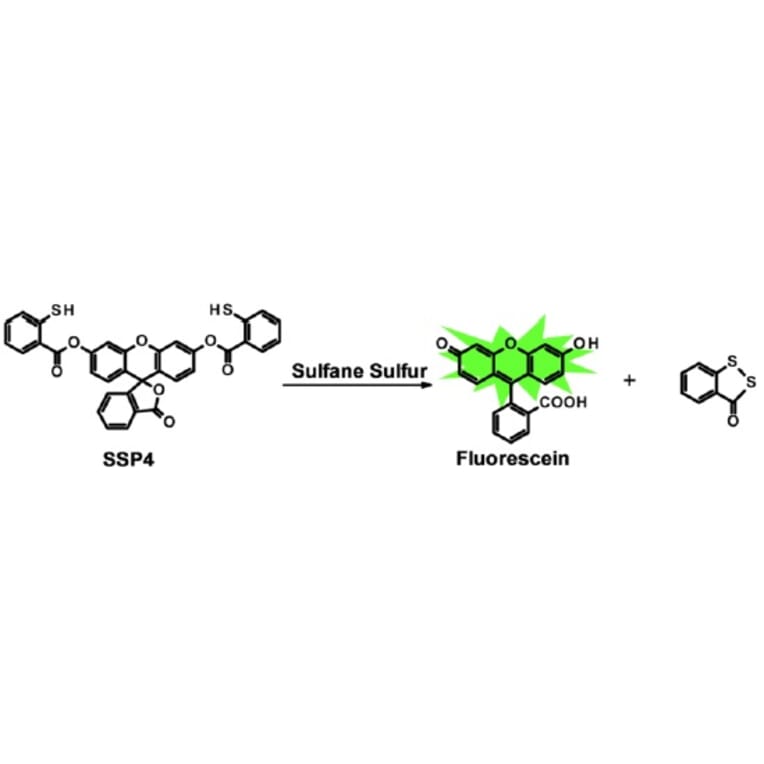 Diagram - Sulfur Biology™ SSP4 - Sulfane Sulfur Probe (A57215) - Antibodies.com