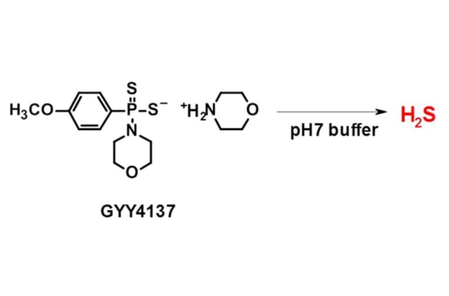 Diagram - Sulfur Biology™ GYY4137 - Slow-Release H2S Donor (A57219) - Antibodies.com