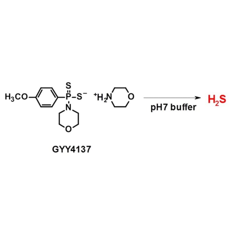 Diagram - Sulfur Biology™ GYY4137 - Slow-Release H2S Donor (A57219) - Antibodies.com