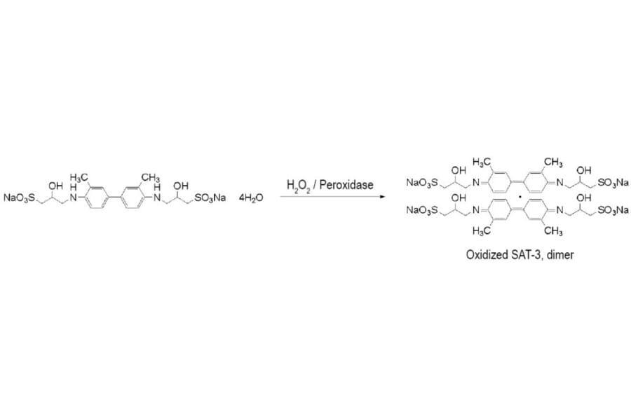 Diagram - SAT-3 - Sulfane Sulfur Detection Probe (A57225) - Antibodies.com