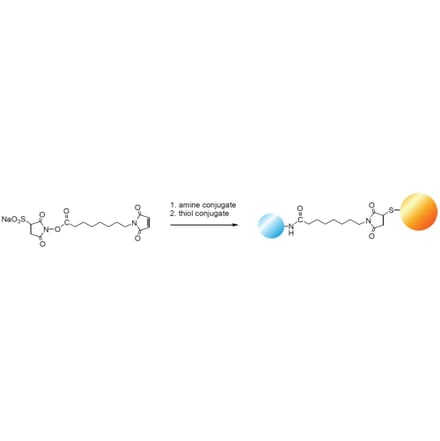 Diagram - Sulfo-HMCS - Water-Soluble Crosslinker (A57229) - Antibodies.com