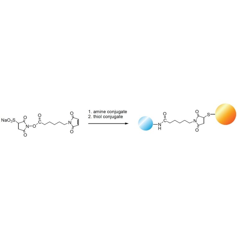 Diagram - Sulfo-EMCS - Water-Soluble Crosslinker (A57231) - Antibodies.com