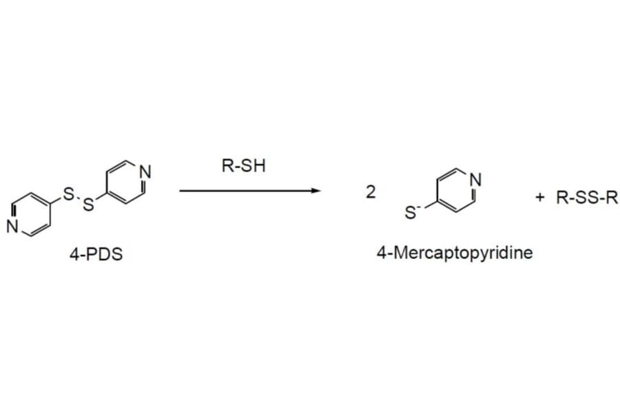 Diagram - 4-PDS - Thiol Detection Reagent (A57240) - Antibodies.com