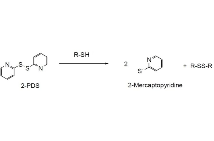 Diagram - 2-PDS - Thiol Detection Reagent (A57241) - Antibodies.com