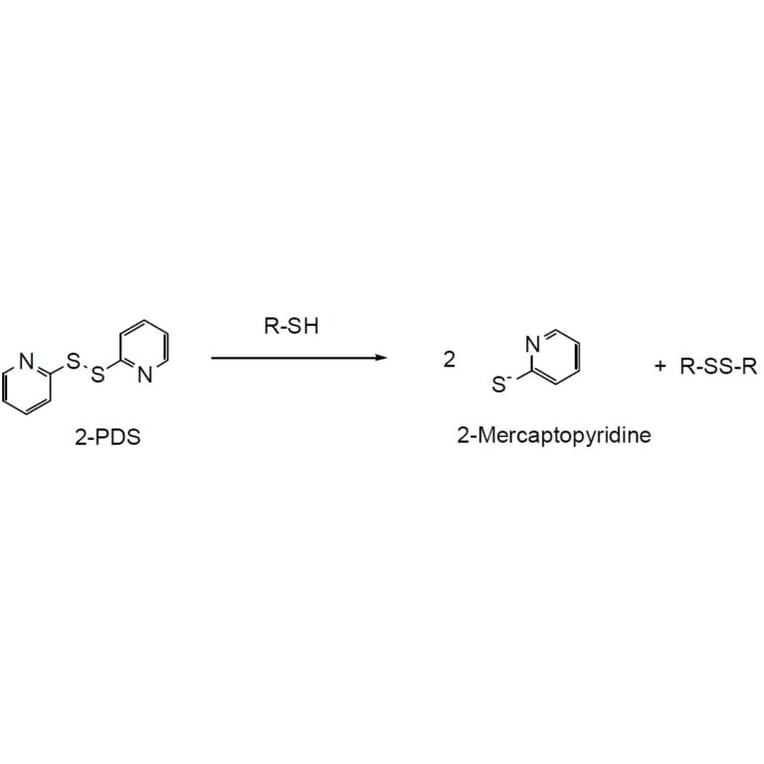 Diagram - 2-PDS - Thiol Detection Reagent (A57241) - Antibodies.com