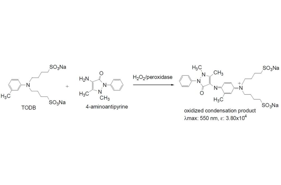 Diagram - TODB - Trinder Reagent (A57248) - Antibodies.com