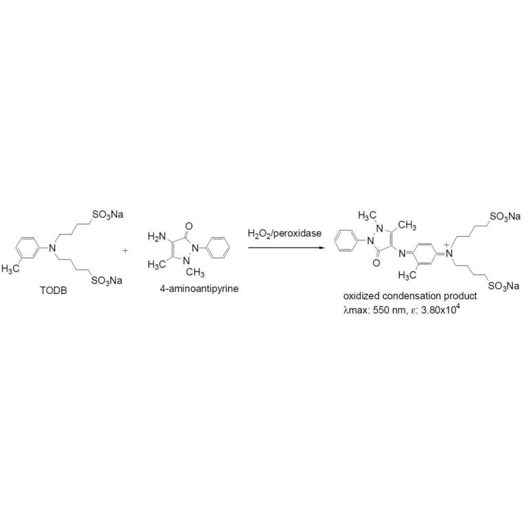 Diagram - TODB - Trinder Reagent (A57248) - Antibodies.com
