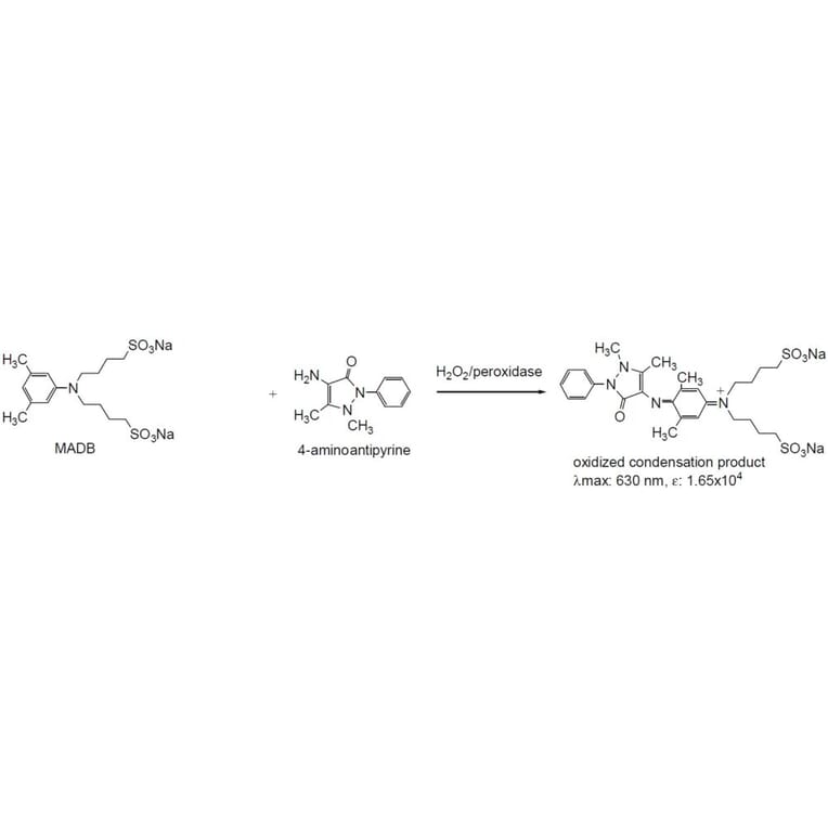 Diagram - MADB - Trinder Reagent (A57249) - Antibodies.com