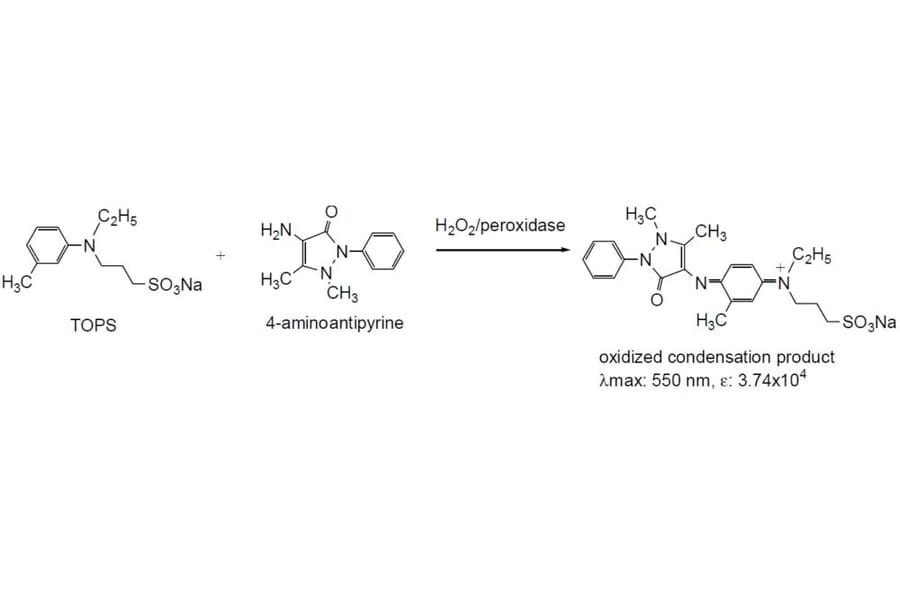 Diagram - TOPS - Trinder Reagent (A57250) - Antibodies.com
