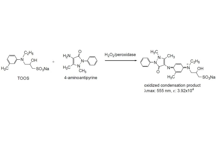 Diagram - TOOS - Trinder Reagent (A57251) - Antibodies.com