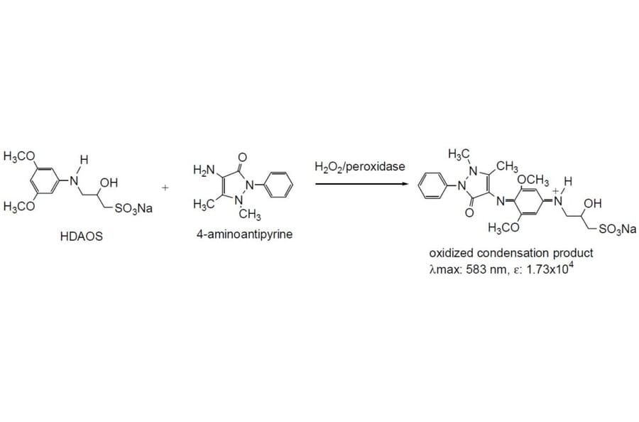 Diagram - HDAOS - Trinder Reagent (A57253) - Antibodies.com