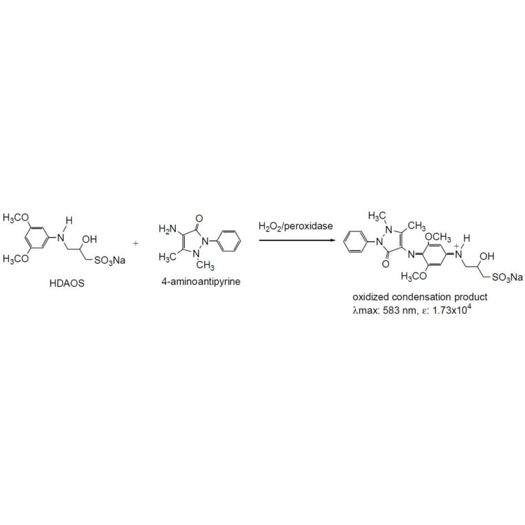 Diagram - HDAOS - Trinder Reagent (A57253) - Antibodies.com
