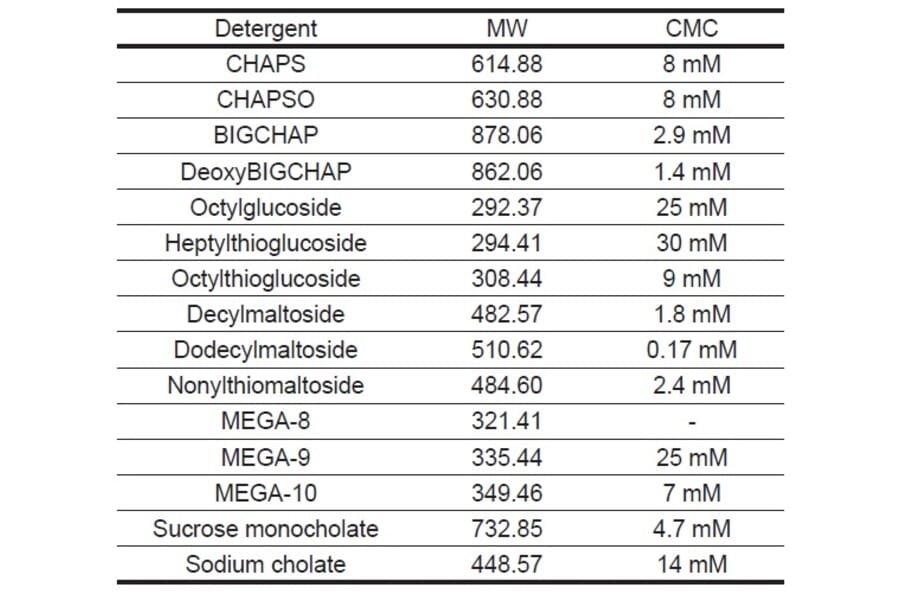 Diagram - n-Octyl-ß-D-Maltoside - Non-Ionic Detergent (A57259) - Antibodies.com