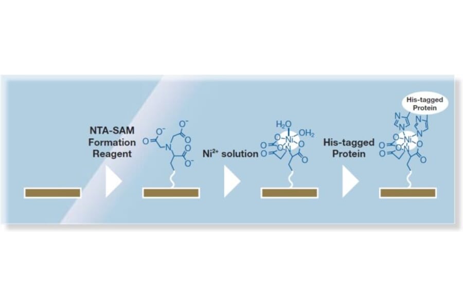 Diagram - NTA-SAM Formation Reagent (A57262) - Antibodies.com