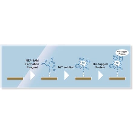 Diagram - NTA-SAM Formation Reagent (A57262) - Antibodies.com