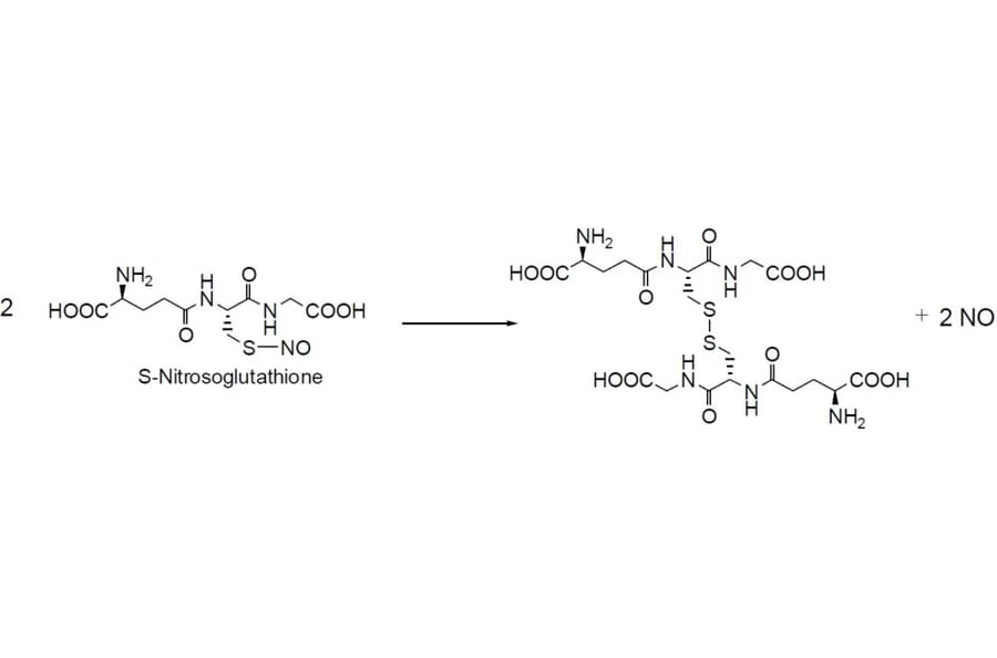 Diagram - S-Nitrosoglutathione - Nitric Oxide Donor (A57265) - Antibodies.com
