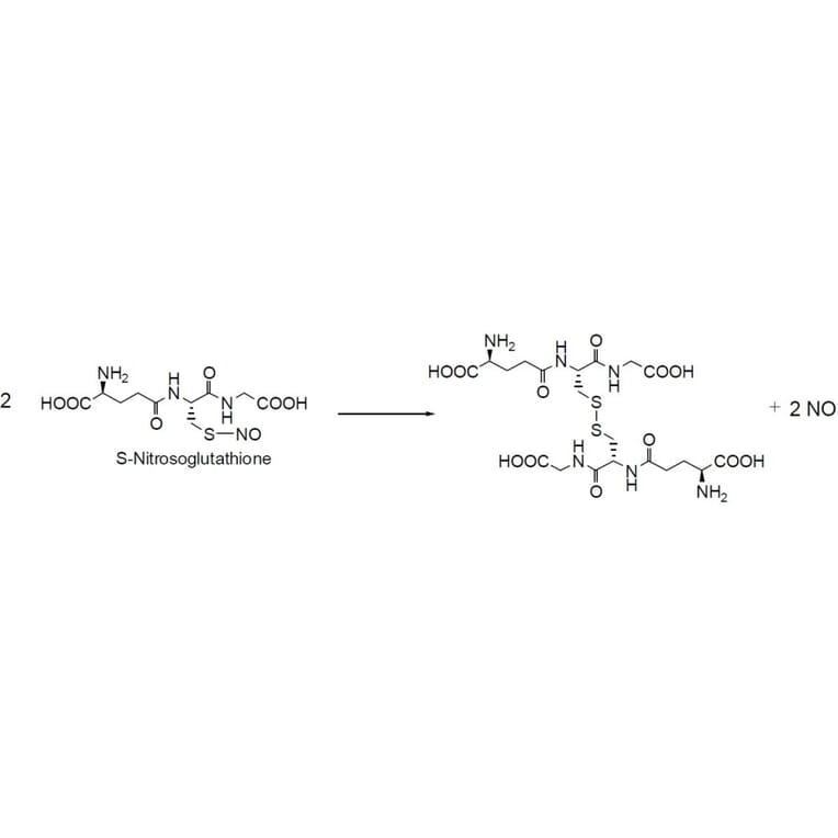 Diagram - S-Nitrosoglutathione - Nitric Oxide Donor (A57265) - Antibodies.com