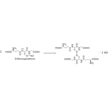Diagram - S-Nitrosoglutathione - Nitric Oxide Donor (A57265) - Antibodies.com