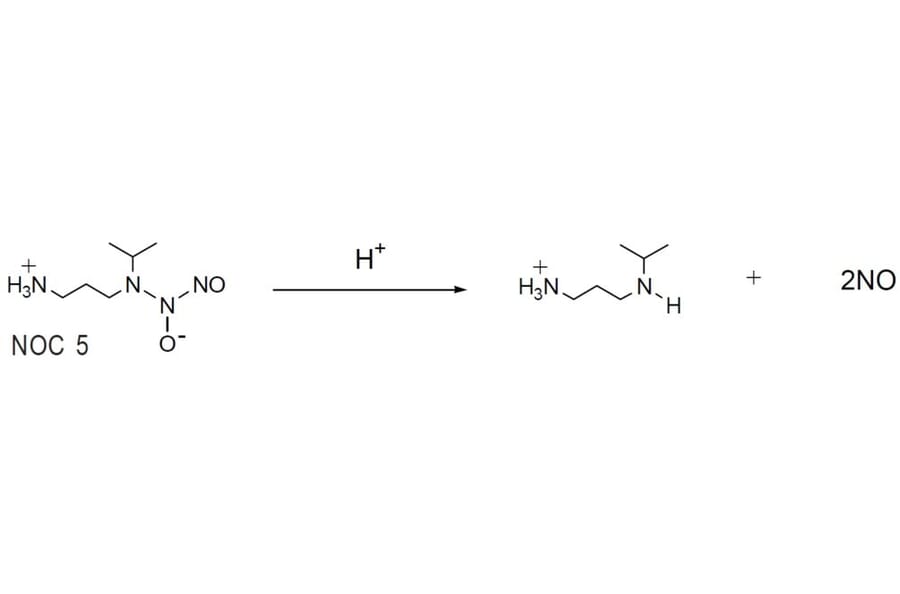 Diagram - NOC-5 - Nitric Oxide Donor (A57269) - Antibodies.com