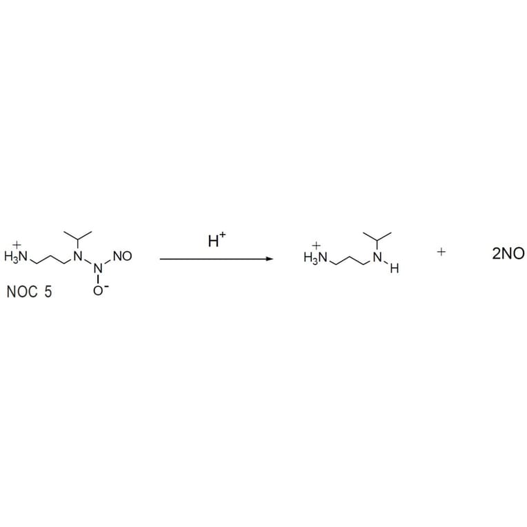 Diagram - NOC-5 - Nitric Oxide Donor (A57269) - Antibodies.com