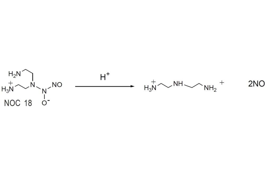 Diagram - NOC-18 - Nitric Oxide Donor (A57270) - Antibodies.com