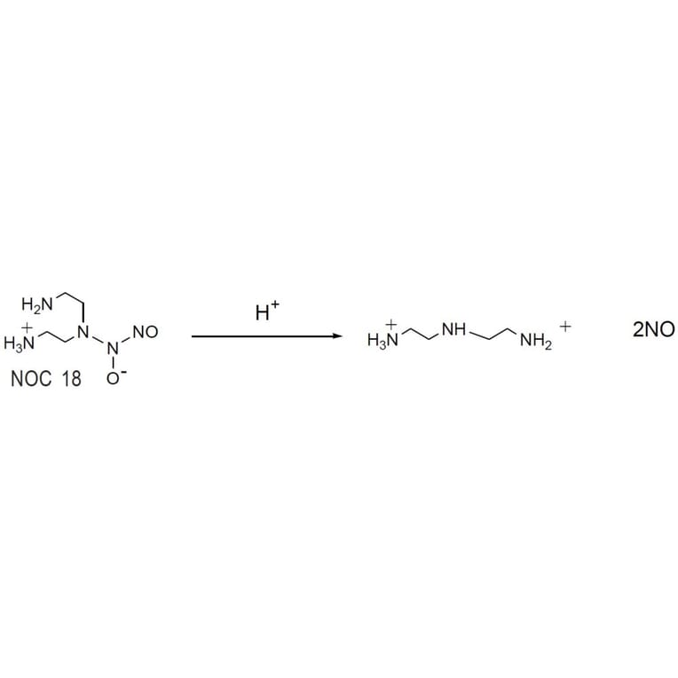 Diagram - NOC-18 - Nitric Oxide Donor (A57270) - Antibodies.com