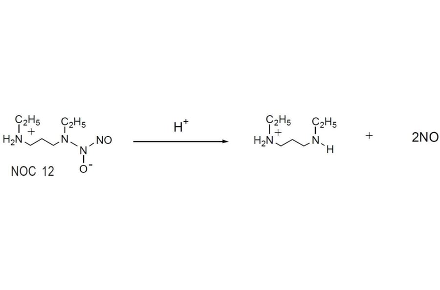Diagram - NOC-12 - Nitric Oxide Donor (A57271) - Antibodies.com