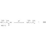 Diagram - NOC-12 - Nitric Oxide Donor (A57271) - Antibodies.com