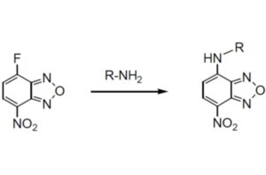 Diagram - NBD-F - Amine Derivatization Reagent (A57276) - Antibodies.com