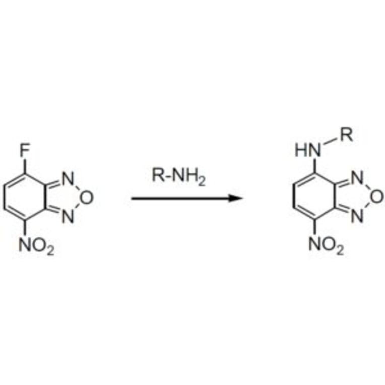 Diagram - NBD-F - Amine Derivatization Reagent (A57276) - Antibodies.com