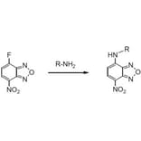 Diagram - NBD-F - Amine Derivatization Reagent (A57276) - Antibodies.com