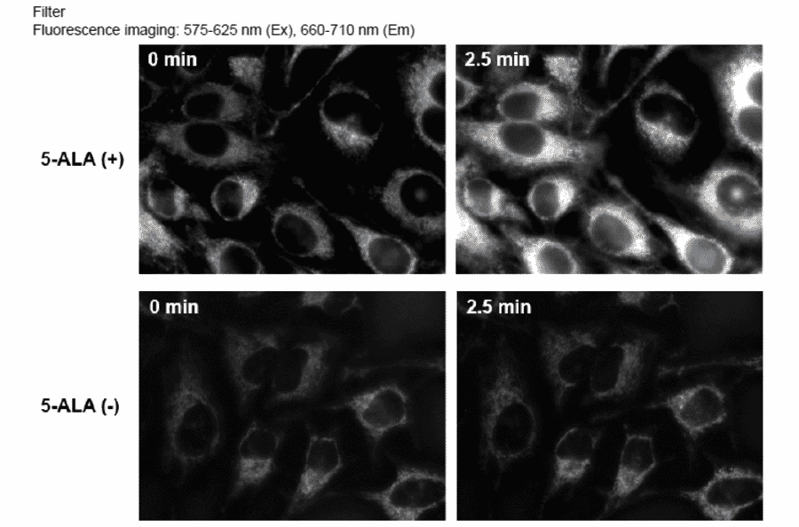 Diagram - Si-DMA - Mitochondrial Singlet Oxygen Probe (A57287) - Antibodies.com
