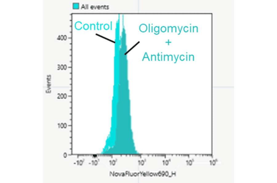 Flow Cytometry - Mitophagy Detection Kit - Fluorescent (A57288) - Antibodies.com
