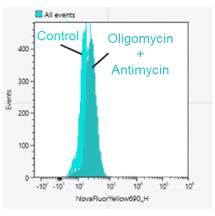 Flow Cytometry - Mitophagy Detection Kit - Fluorescent (A57288) - Antibodies.com