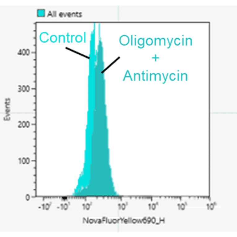 Flow Cytometry - Mitophagy Detection Kit - Fluorescent (A57288) - Antibodies.com