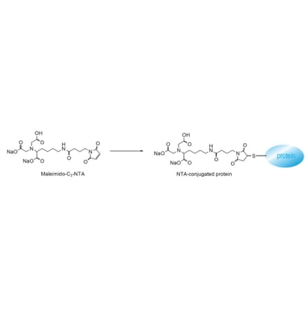 Diagram - Maleimido-C3-NTA - Thiol-Reactive NTA Reagent (A57292) - Antibodies.com