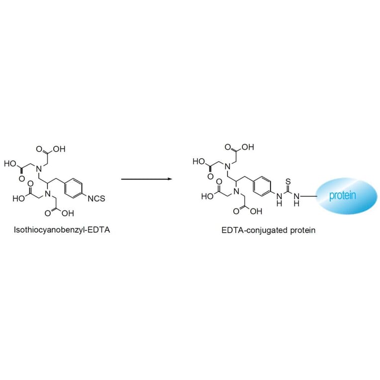 Diagram - Isothiocyanobenzyl-EDTA - Amine-Reactive Chelator (A57293) - Antibodies.com