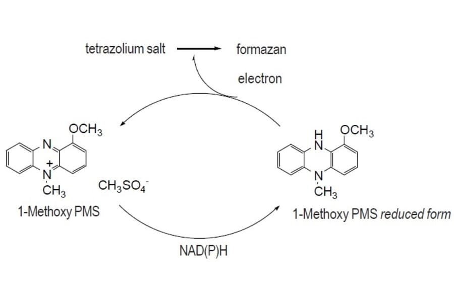 Diagram - 1-Methoxy PMS - Electron Mediator (A57302) - Antibodies.com