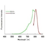 Diagram - ICG Labeling Kit - Amine Reactive (A57309) - Antibodies.com