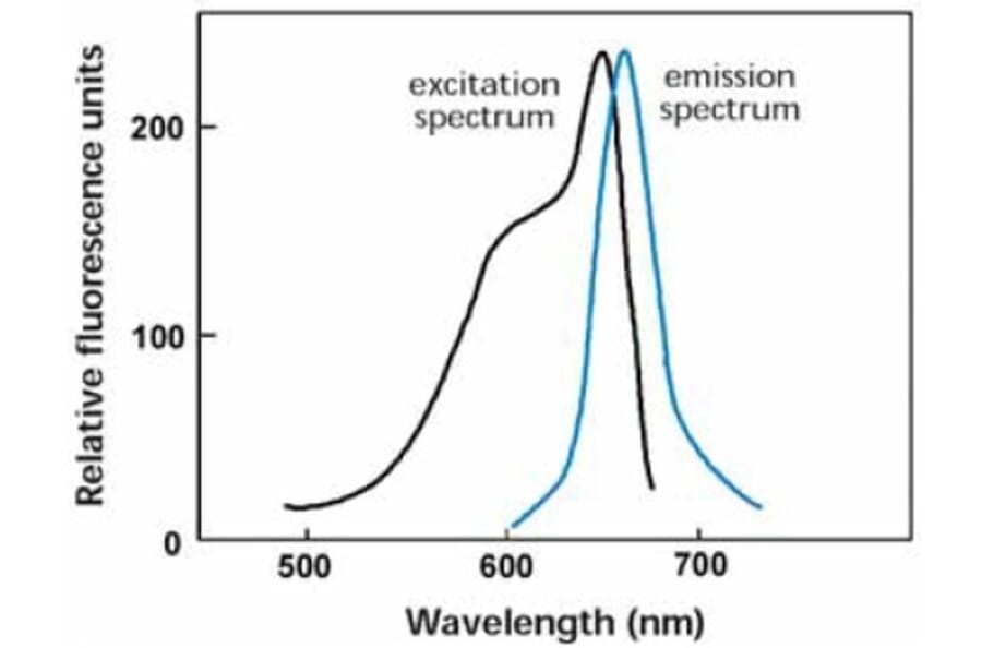 Diagram - Allophycocyanine Labeling Kit - Thiol Reactive (A57311) - Antibodies.com