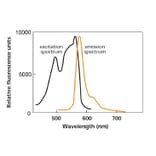 Diagram - R-Phycoerythrin Labeling Kit - Amine Reactive (A57312) - Antibodies.com