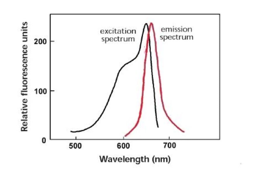 Diagram - Allophycocyanine Labeling Kit - Amine Reactive (A57313) - Antibodies.com