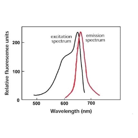 Diagram - Allophycocyanine Labeling Kit - Amine Reactive (A57313) - Antibodies.com
